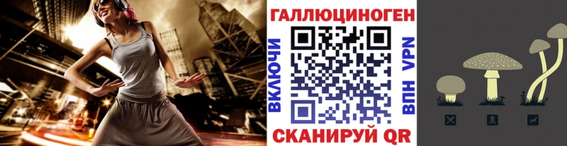Псилоцибиновые грибы мицелий даркнет сайт Новокузнецк