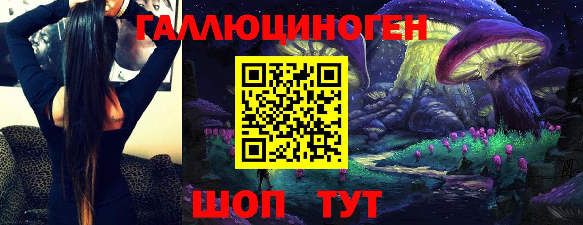 Псилоцибиновые грибы GOLDEN TEACHER Новокузнецк